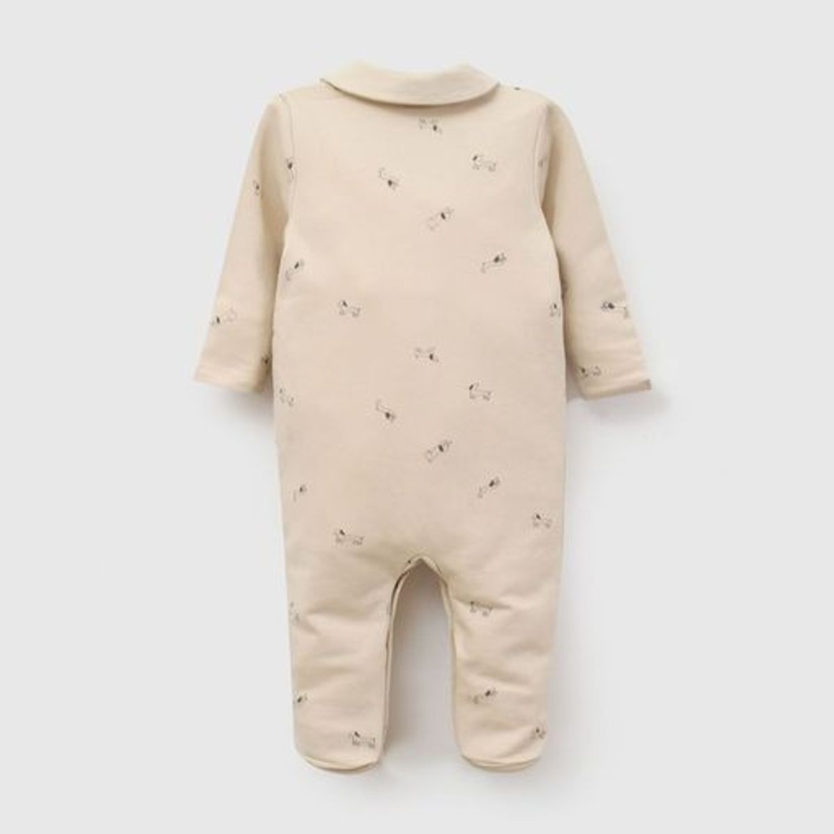 COLLOKY - Oso Beige Bebé niño