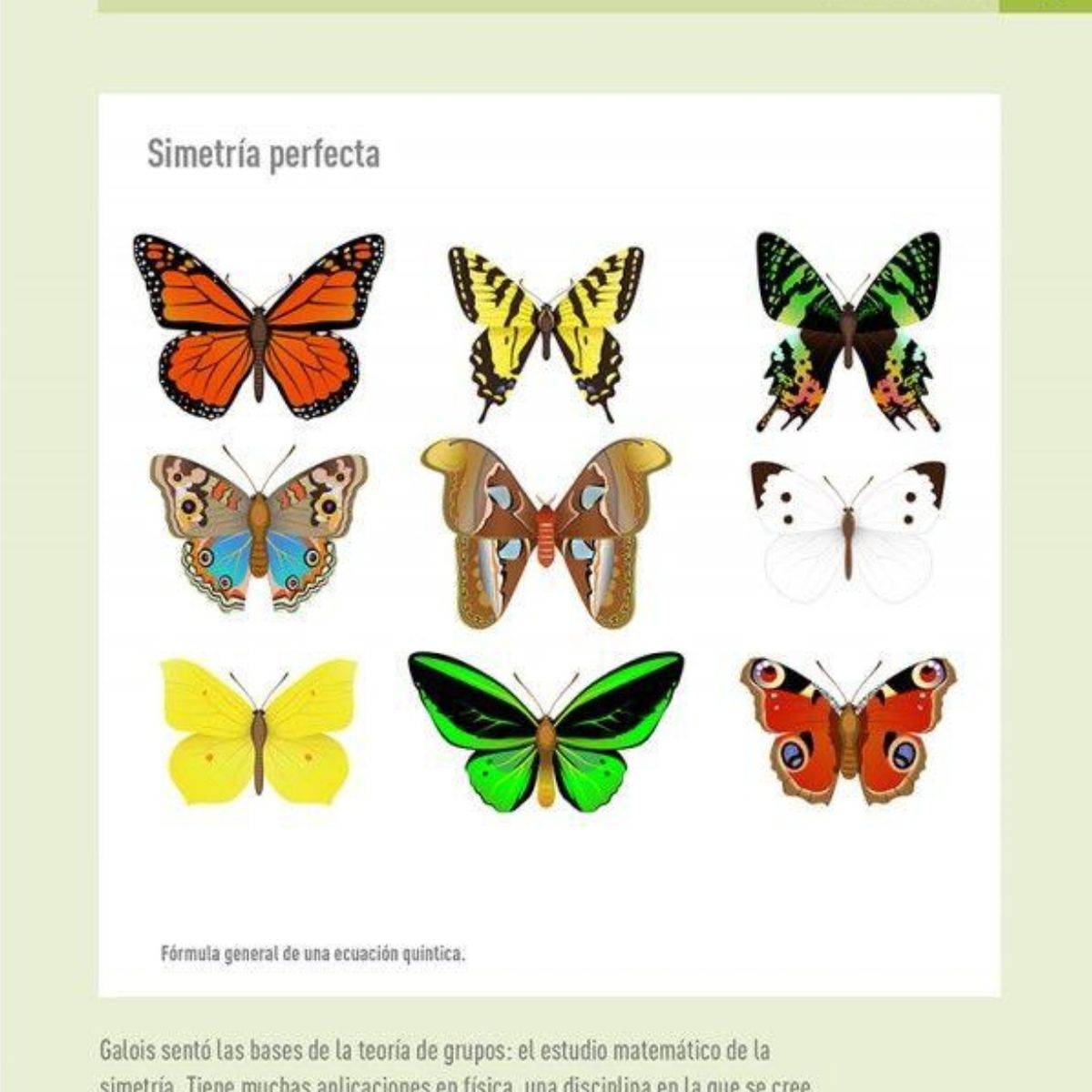 EDITORIAL CONTRAPUNTO - Matematicas - 100 conceptos