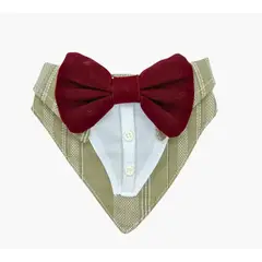 GENERICO - Bandana Para Mascotas Avellana Talla XL