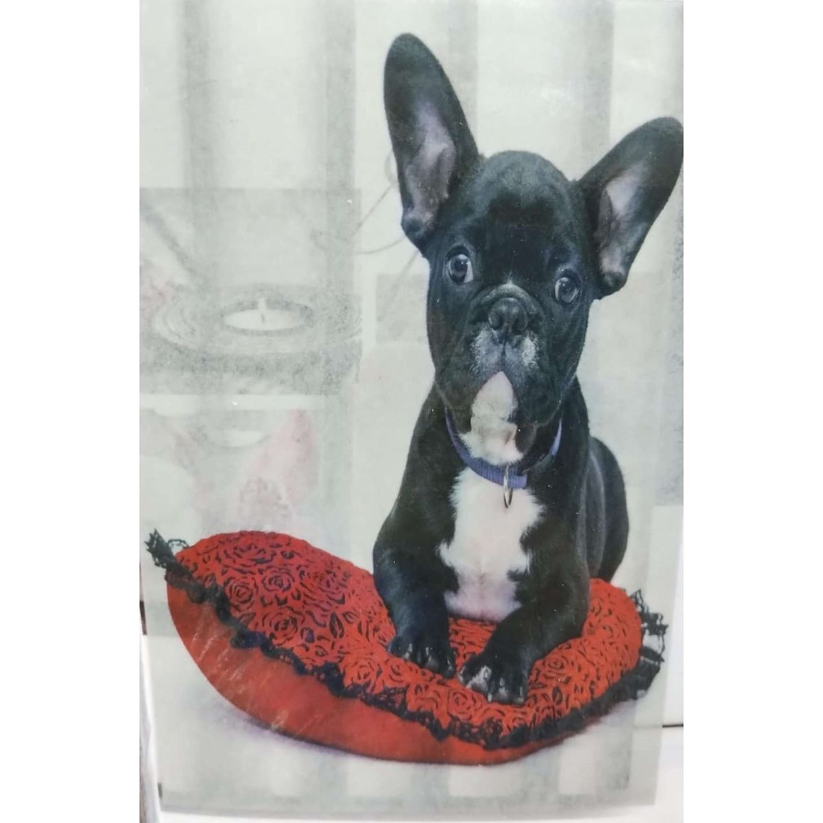 GENERICO - CORTINA DE BAÑO CON FORRO DE DUCHA 180180 cm