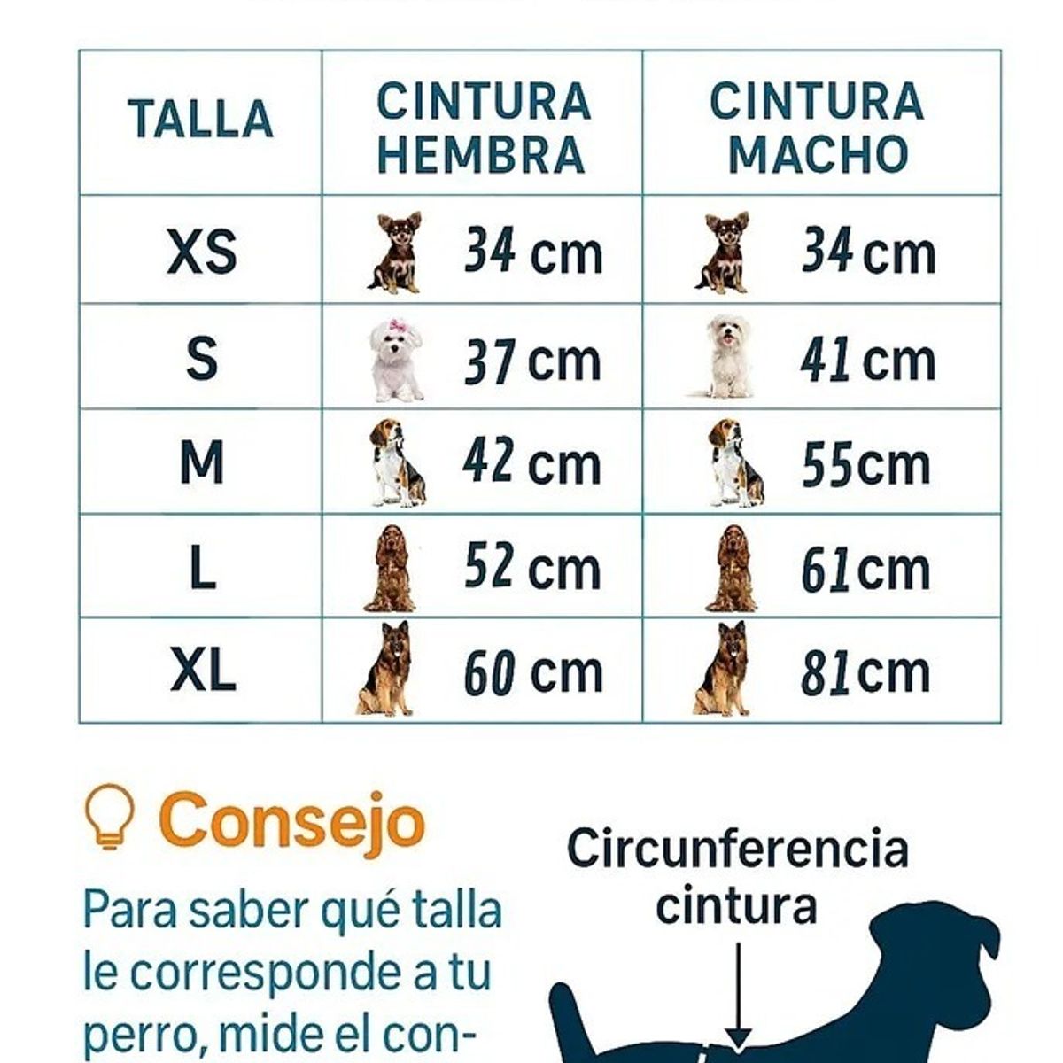 60 Pañales Para Perros Pañales Para Perro Pañales Gato Xl, marca GENERICO - Foto 2