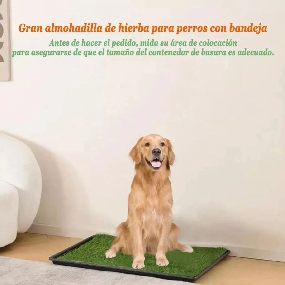 MOVI - Baño para Mascotas XXL Pet Potty