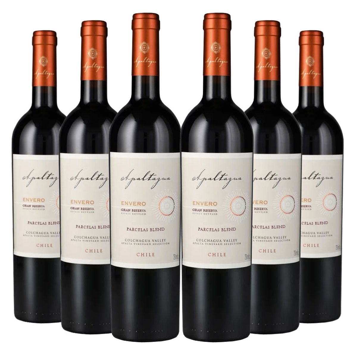 APALTAGUA - 6 Vinos Apaltagua Gran Reserva Envero Parcelas Ensamblaje