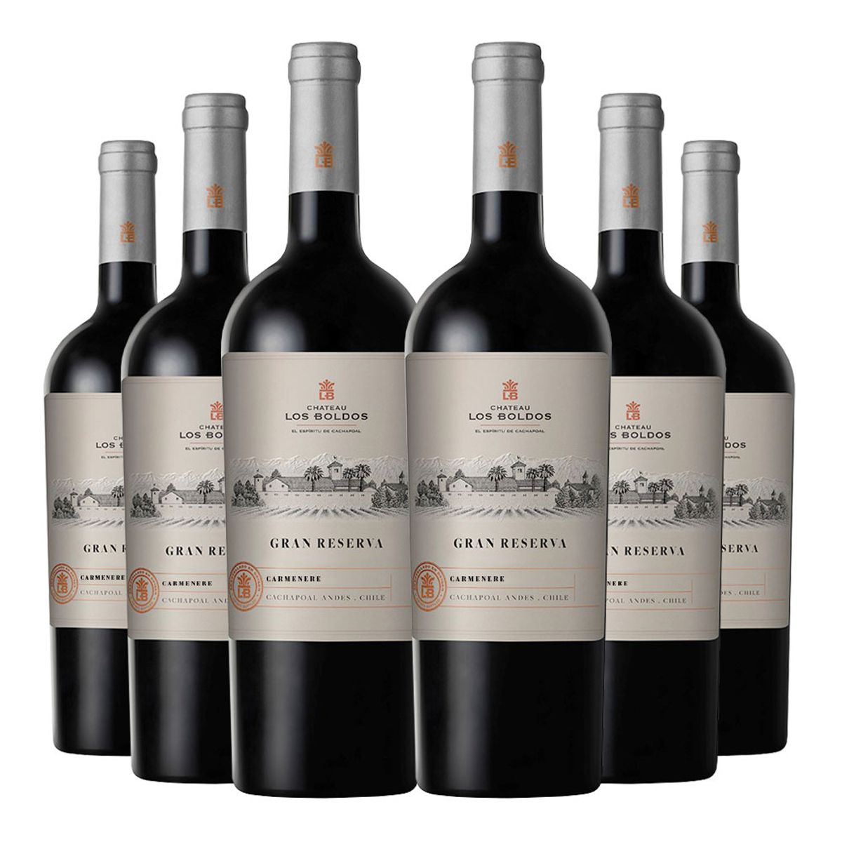 LOS BOLDOS - 6 Vinos Los Boldos Gran Reserva Carmenere