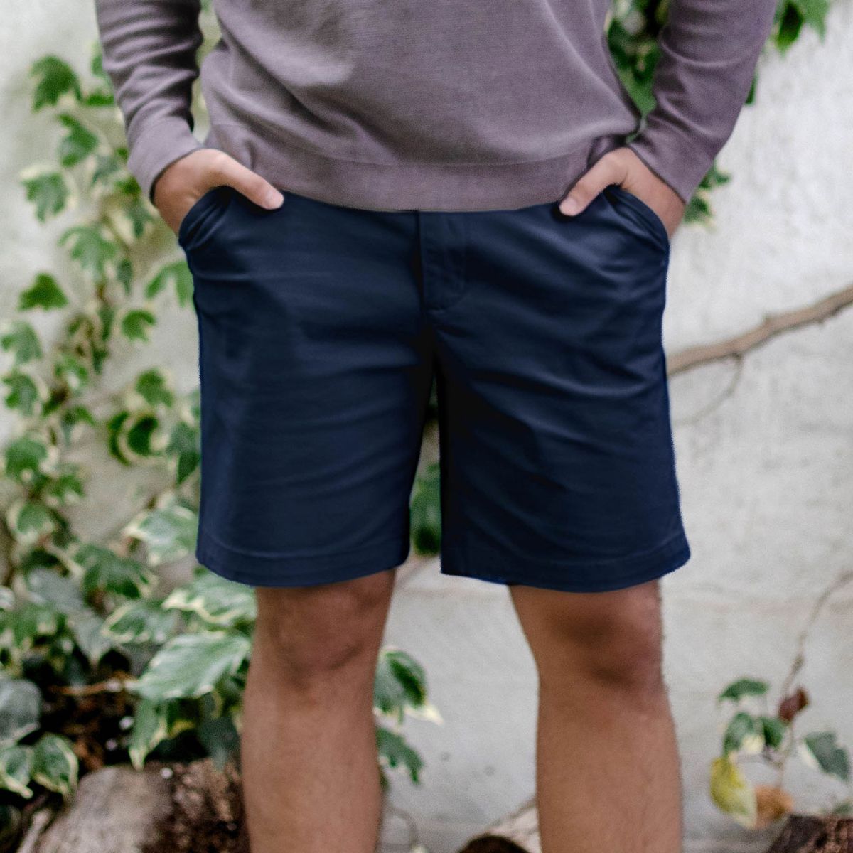 MOSS - Bermuda Clásica