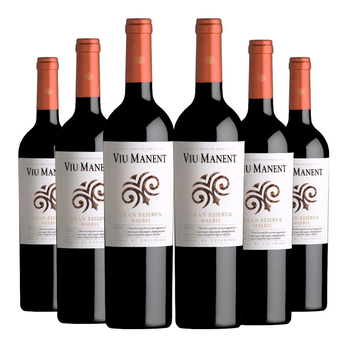 VIU MANENT - 6 Vinos Viu Manent Gran Reserva Malbec