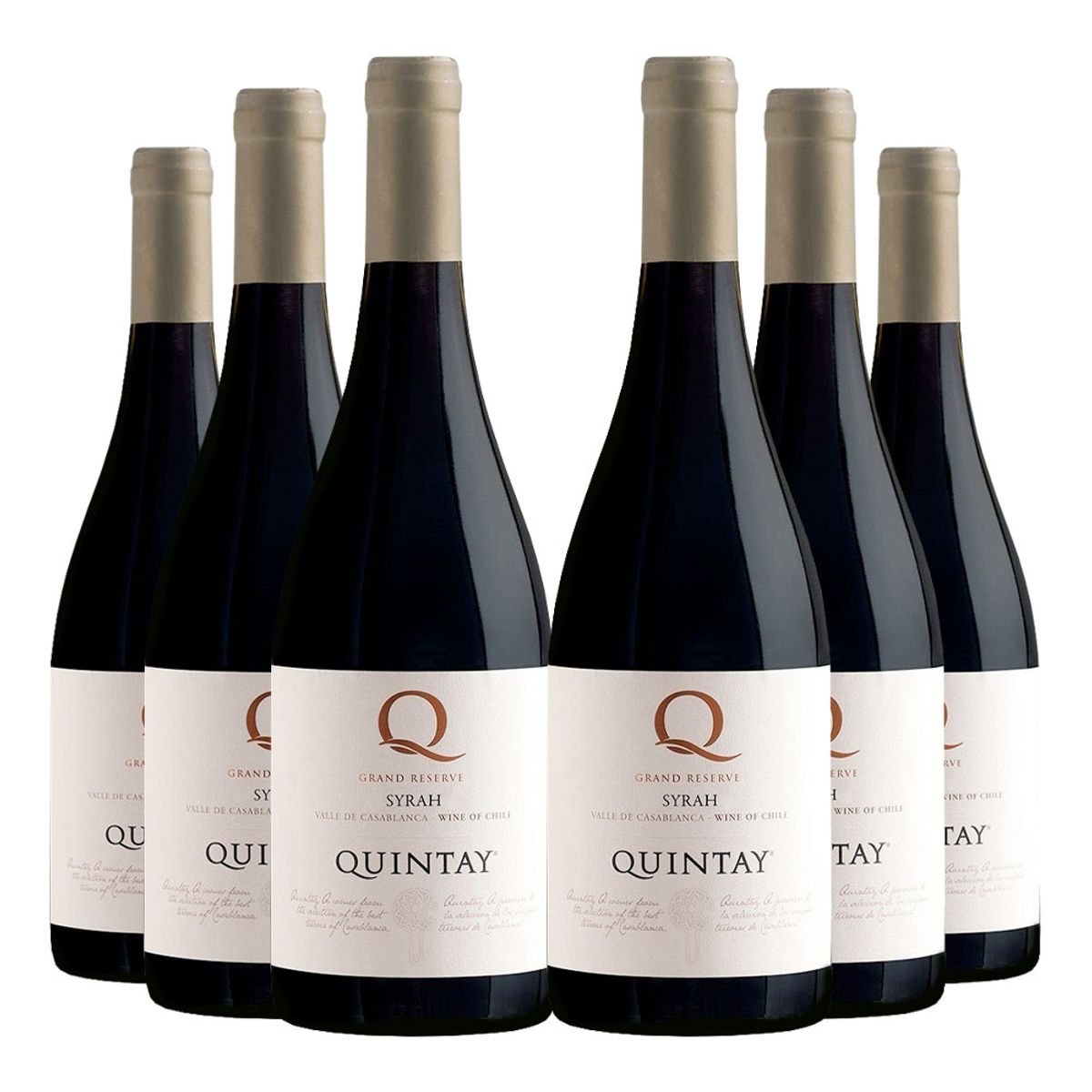 QUINTAY - 6 Vinos Quintay Q Syrah