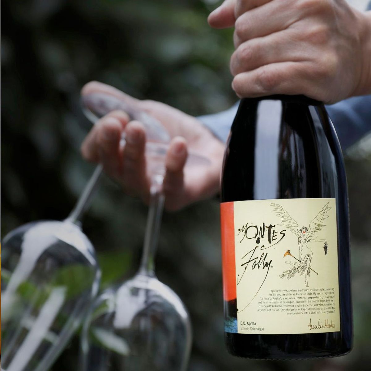 MONTES - Vino Montes Folly Syrah