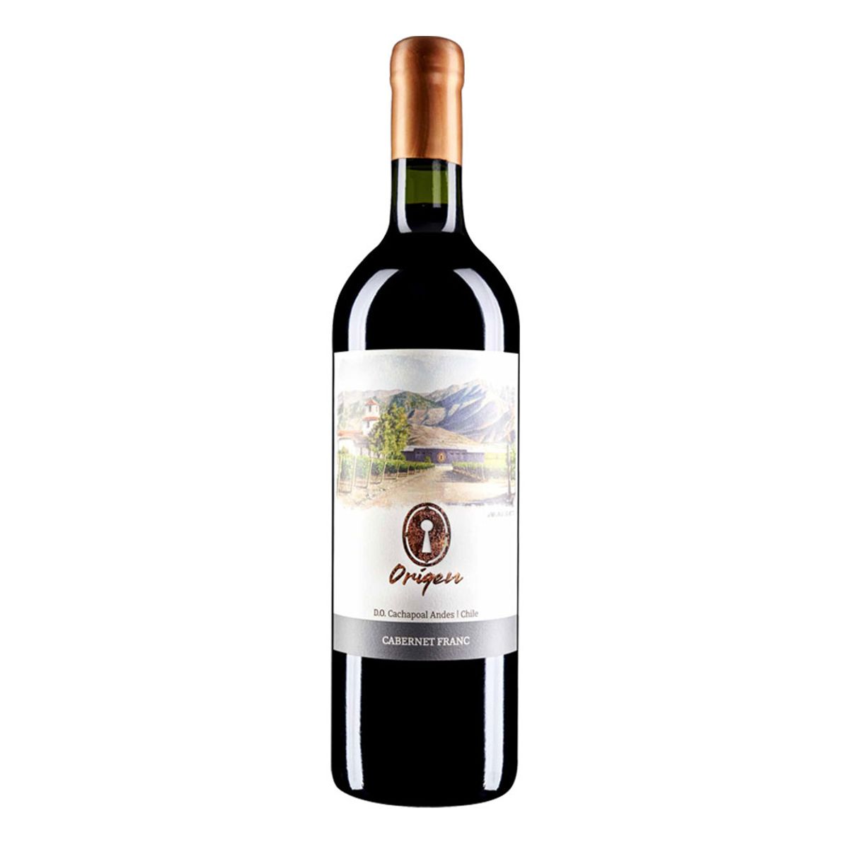 VALLE SECRETO - Vino Valle Secreto Origen Cabernet Franc