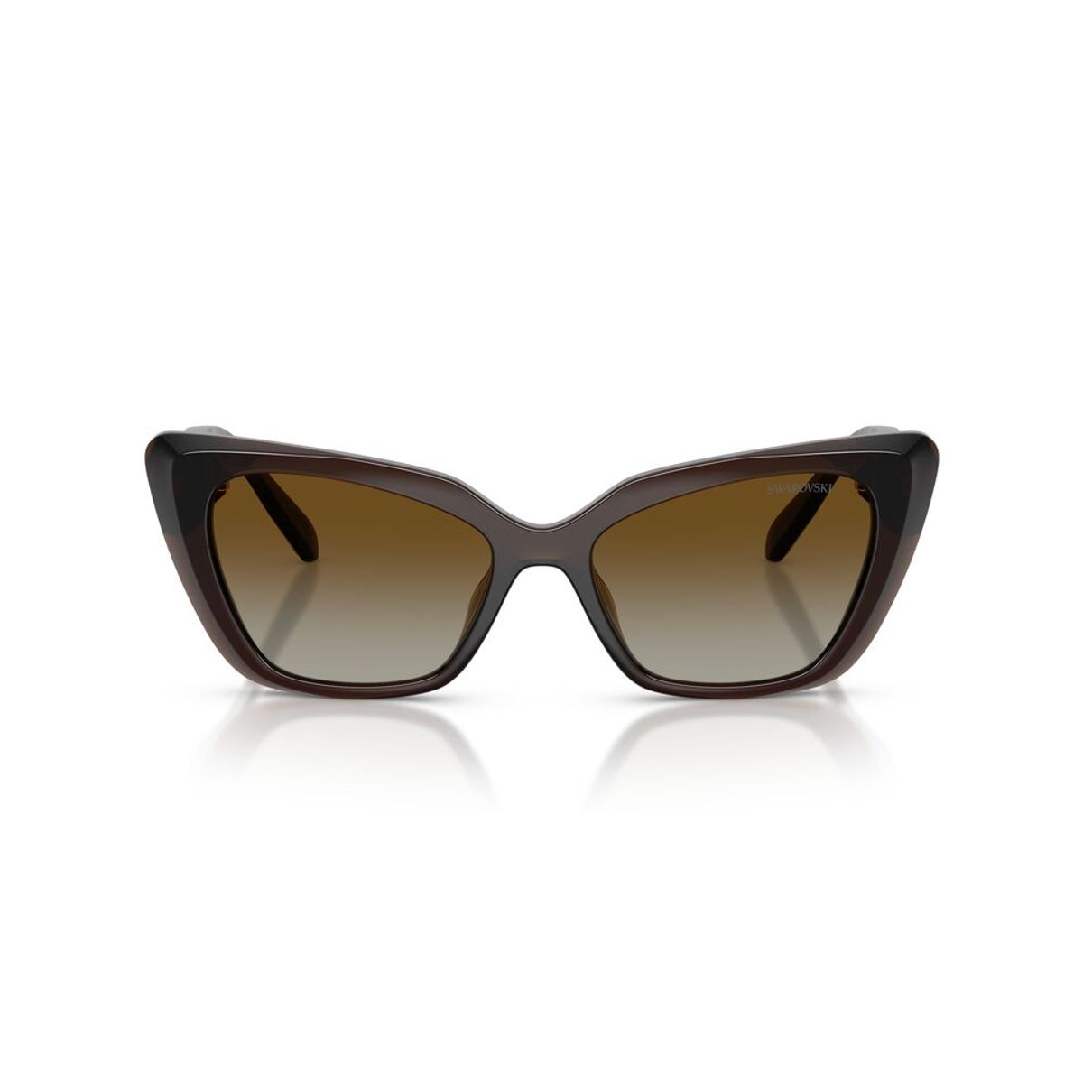 SWAROVSKI - Anteojos De Sol Swarovski SK6047 Transparent Brown Polar Brown Gradient Café Mujer