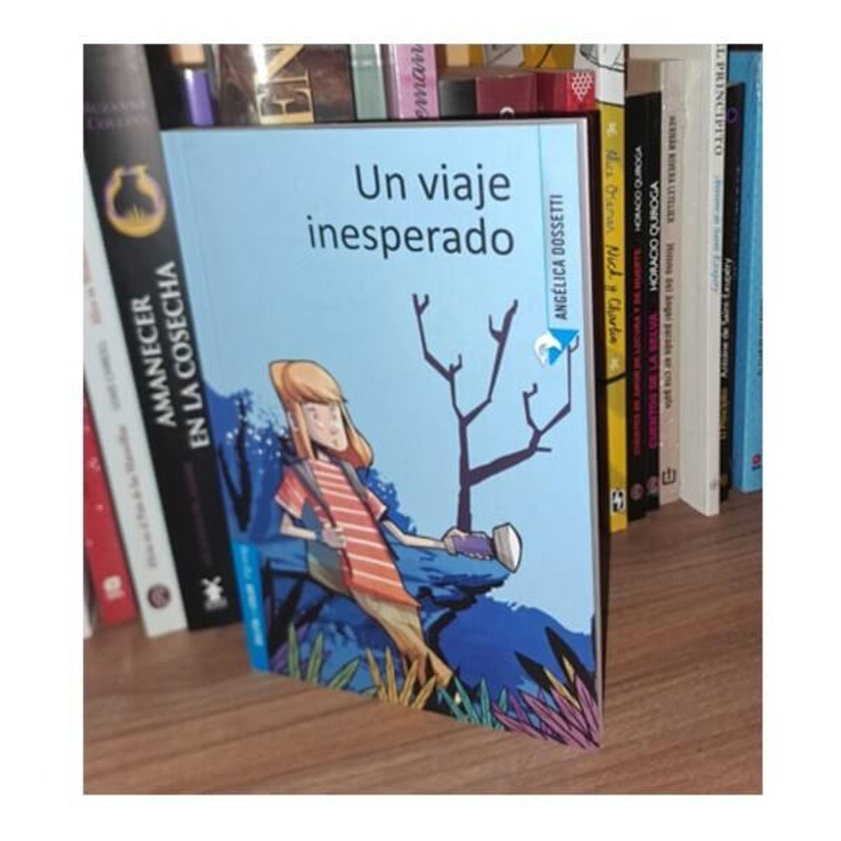 DISCOS A&D - Dossetti Angélica Un viaje inesperado Literatura Infantil