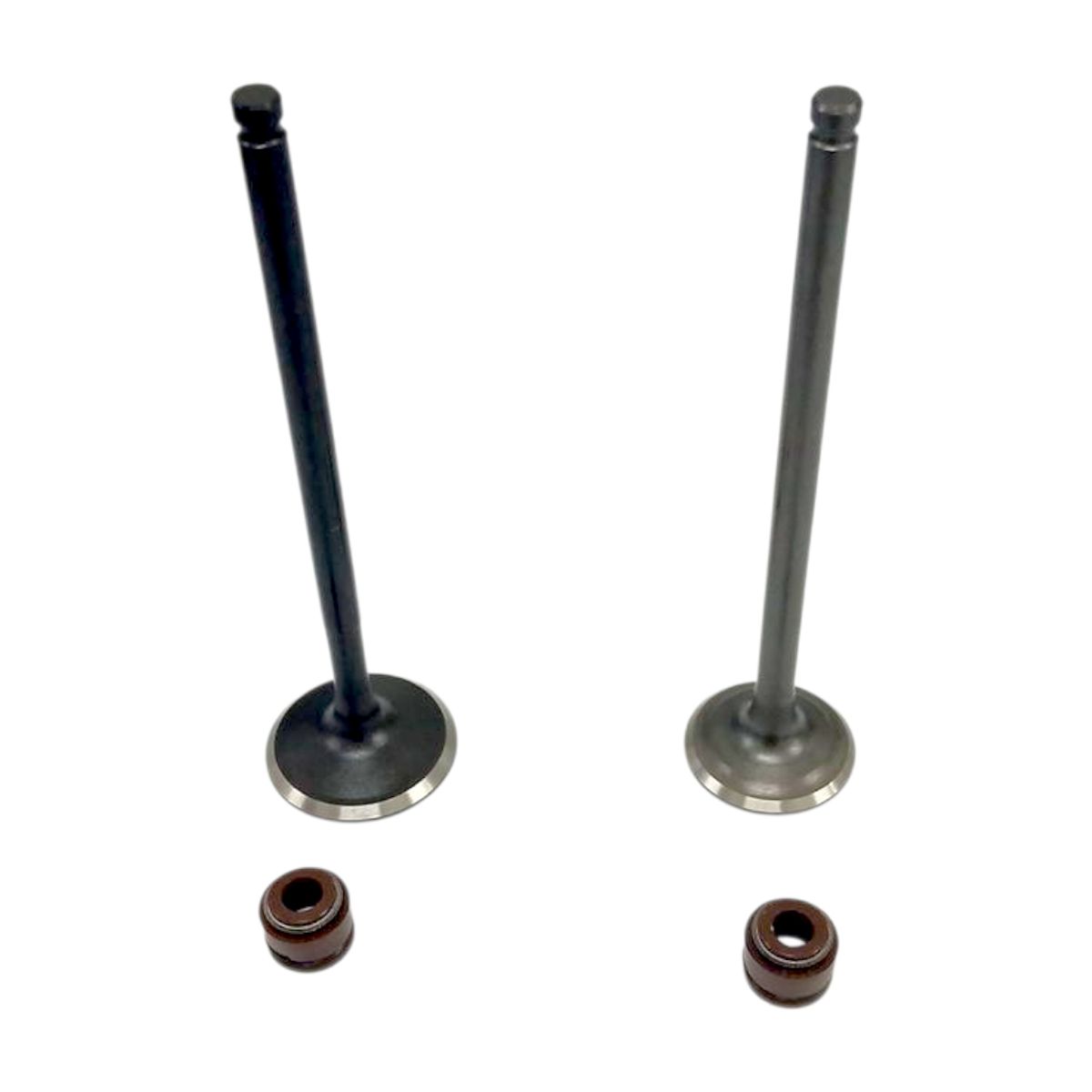 GENERICO - VALVULAS JGO RKS-125-EN-125-GN-125 VITRIX