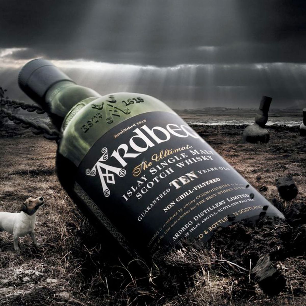 ARDBEG - Whisky Ardbeg 10 Años Single Malt