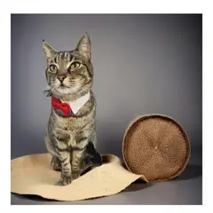 GENERICO - Corbatín Negro Para Perros Y Gatos Talla XS 20 cm