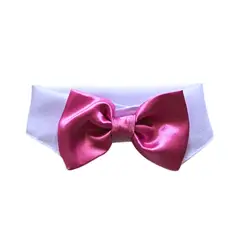 GENERICO - Corbatín Rosado Para Perros Y Gatos Talla XXL 45 cm