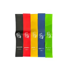 GENERICO - Banda elástica de resistencia 5 niveles