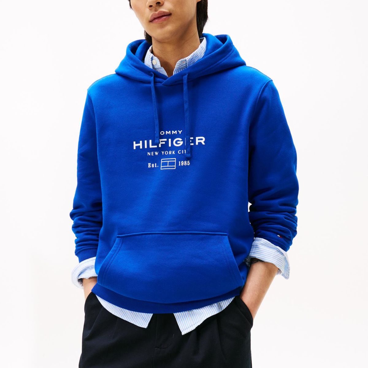 TOMMY HILFIGER - Polerón Hoodie Oval Logo Gráfico Azul Tommy Hilfiger