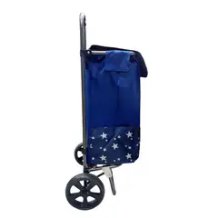 GENERICO - Carrito de Feria gris Reforzado Multiuso - Plegable con Bolsa de 57cm AZUL