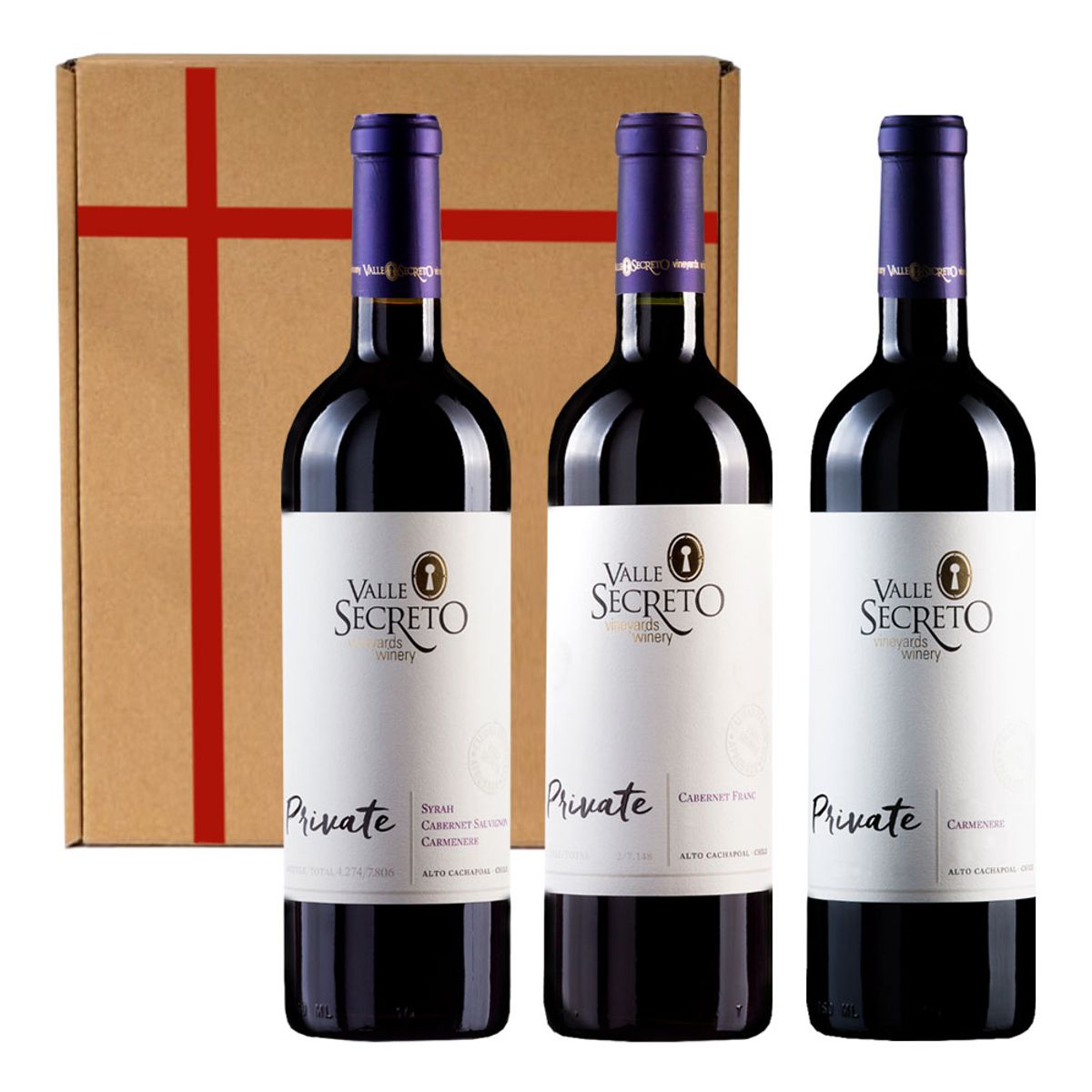 VALLE SECRETO - Mix Vinos Secreto Private Collection