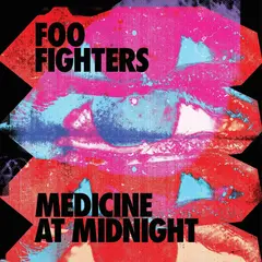 GRUPO LASER DISC - Vinilo Foo Fighters Medicine At Night 1Lp