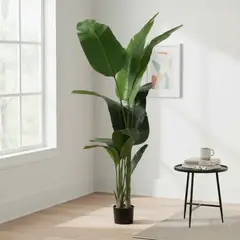 GENERICO - Planta Artificial De Ave Del Paraíso, 180 Cm Alto, 11 Hojas