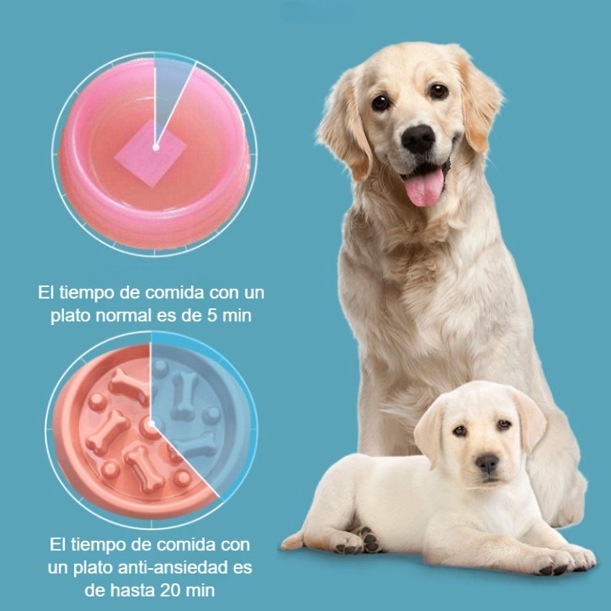 HOOPET - Plato Anti Ansiedad Para Alimentación Lenta De Perros