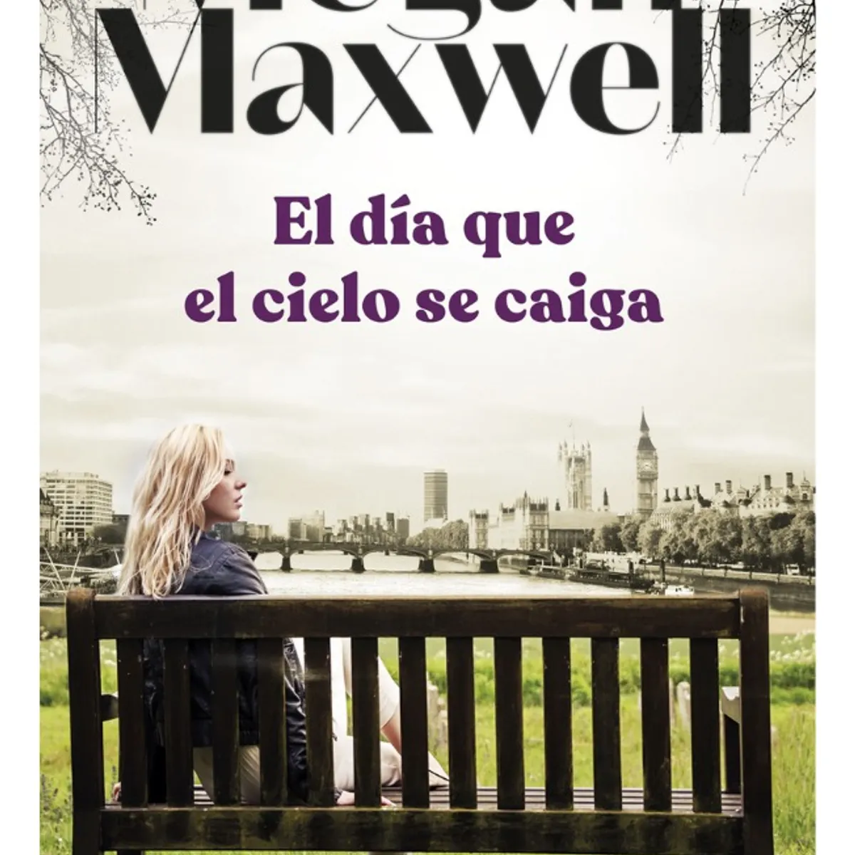 BOOKET - EL DÍA QUE EL CIELO SE CAIGA - MEGAN MAXWELL