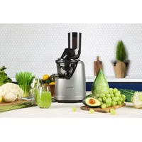 Extractor de jugo prensado en frío - B1700 Plateado