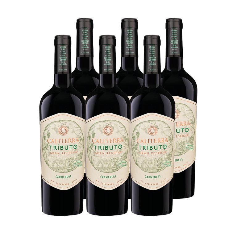 6x Vino Tributo Gran Reserva Carmenere 750cc