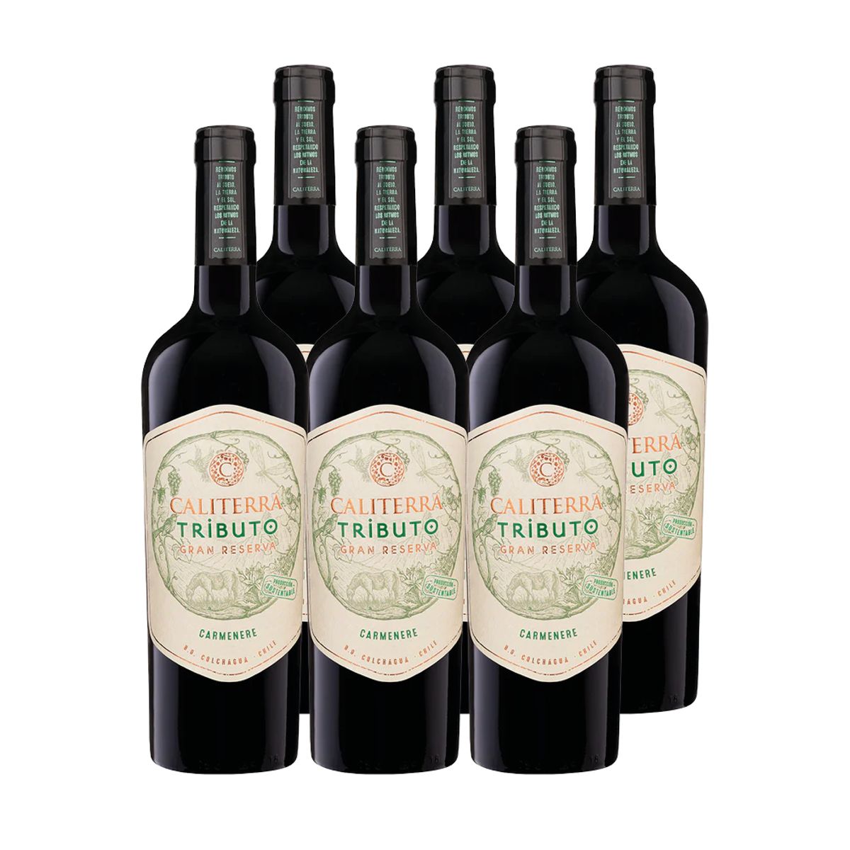 CALITERRA - 6x Vino Caliterra Tributo Gran Reserva Carmenere 750cc