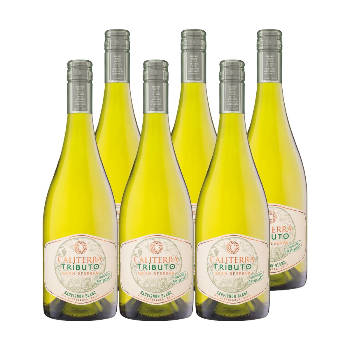 CALITERRA - 6x Vino Caliterra Tributo Gran Reserva Sauvignon Blanc 750cc