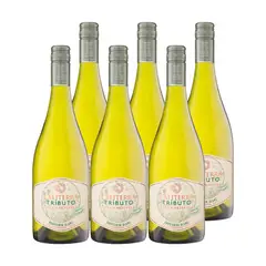 CALITERRA - 6x Vino Tributo Gran Reserva Sauvignon Blanc 750cc