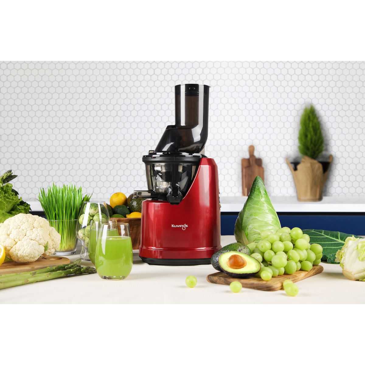 KUVINGS - Extractor de jugo prensado en frío - Kuvings B1700 Rojo