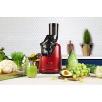 Extractor de jugo prensado en frío - B1700 Rojo