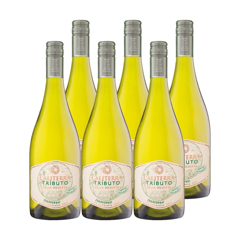 6x Vino Tributo Gran Reserva Chardonnay 750cc