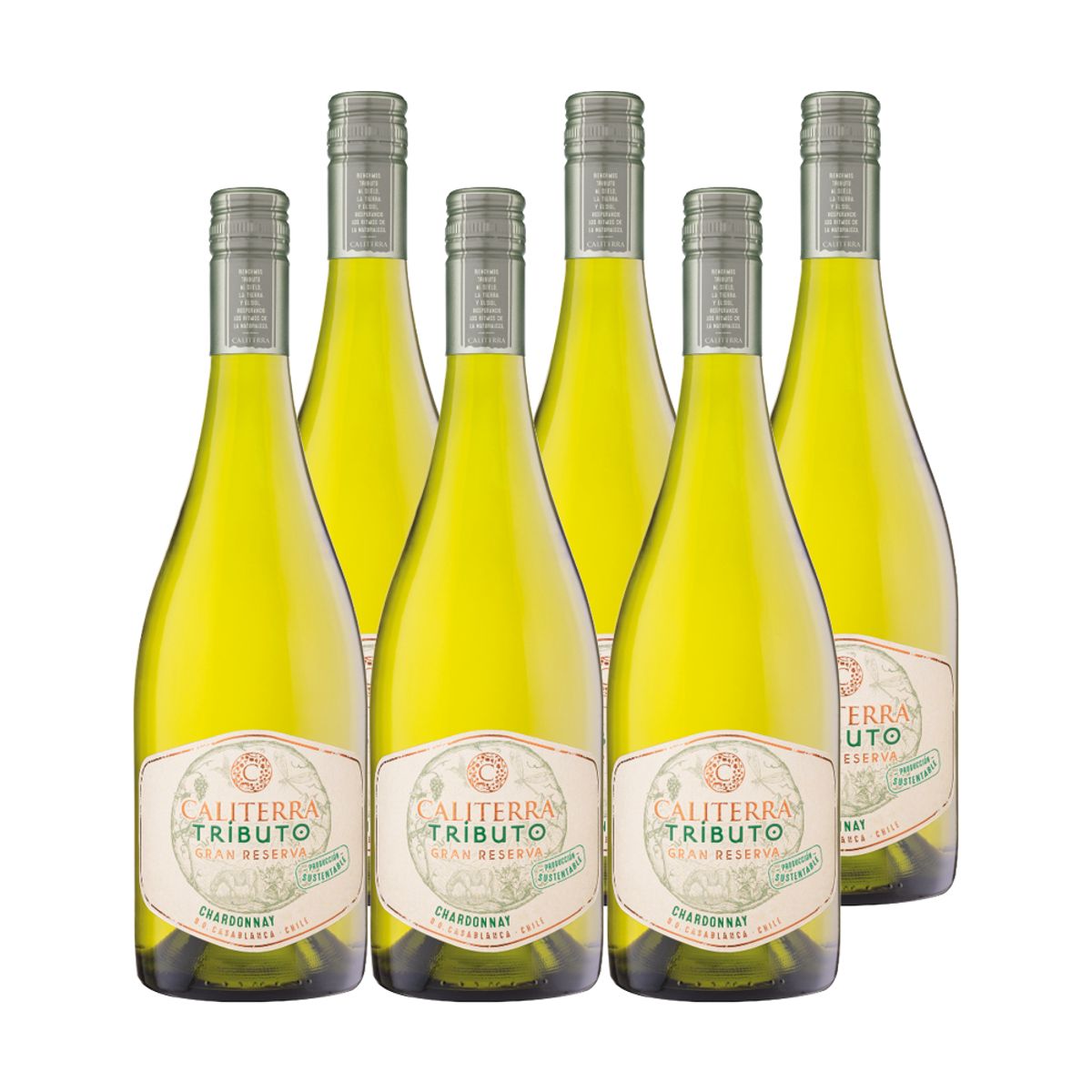 CALITERRA - 6x Vino Caliterra Tributo Gran Reserva Chardonnay 750cc