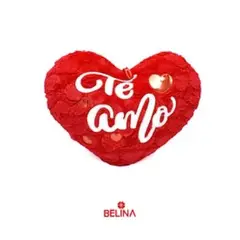 GENERICO - Cojin corazón te amo 25cm