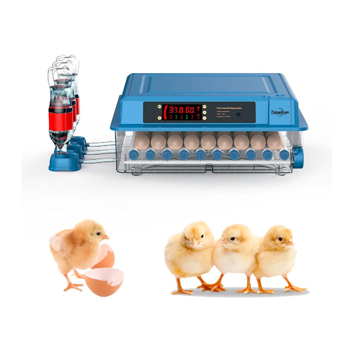 OFERTABKN - Incubadora 50w Digital Automática 36 Huevos