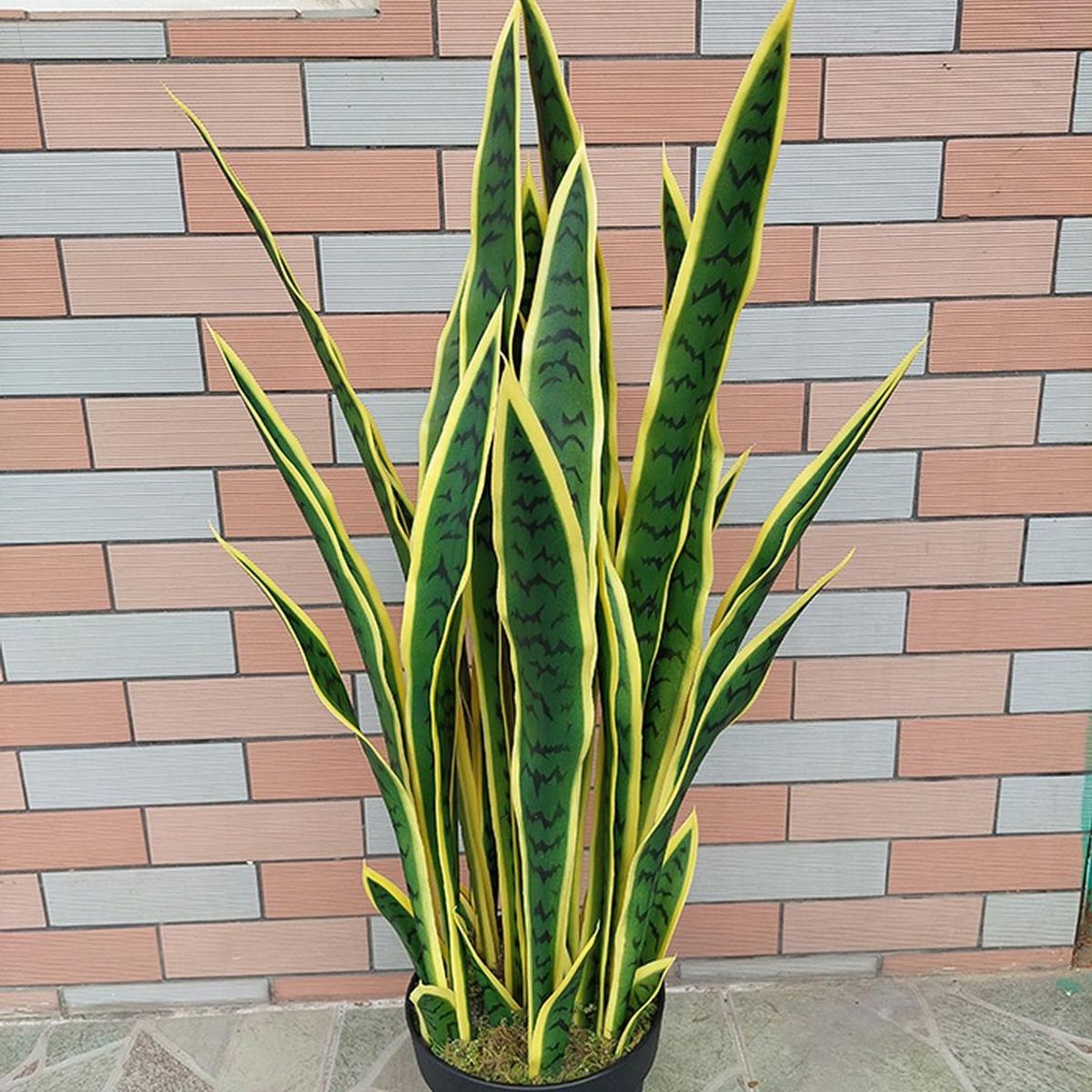 ARBUSTO REAL - Planta Artificial Lengua de Suegra Sansevieria 60 cm/18 hjs