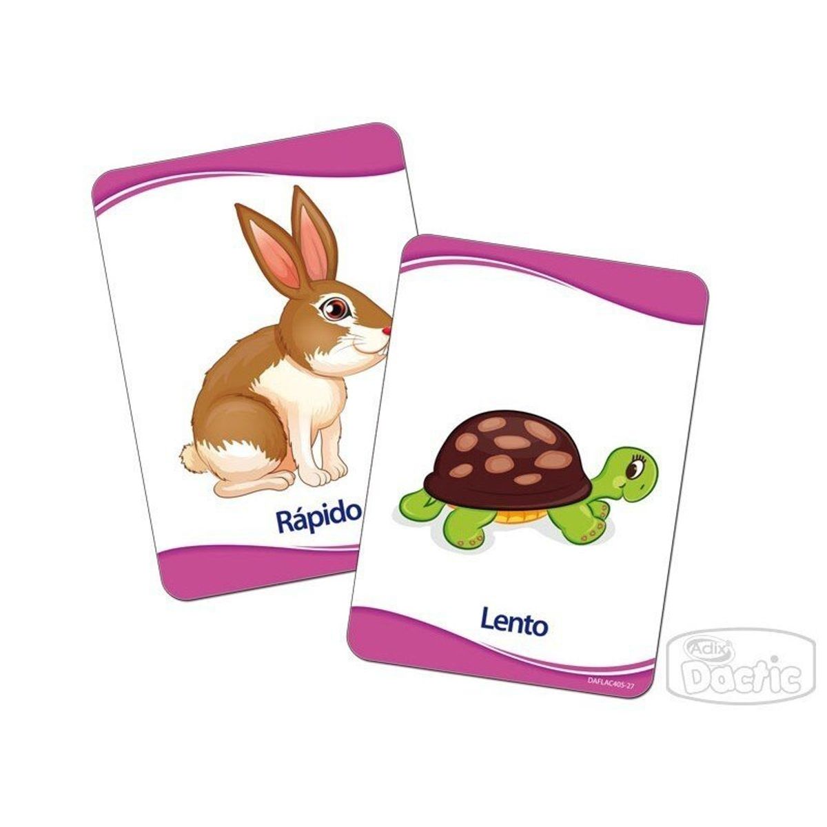 DACTIC - Lámina Conceptos