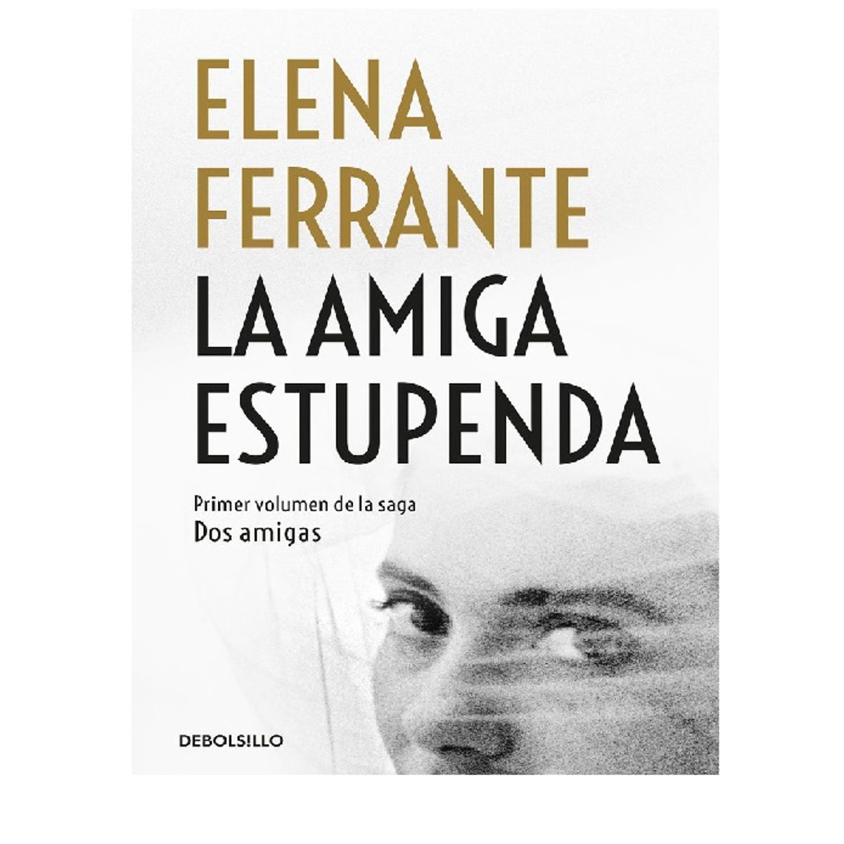 DEBOLSILLO - LA AMIGA ESTUPENDA DOS AMIGAS 1