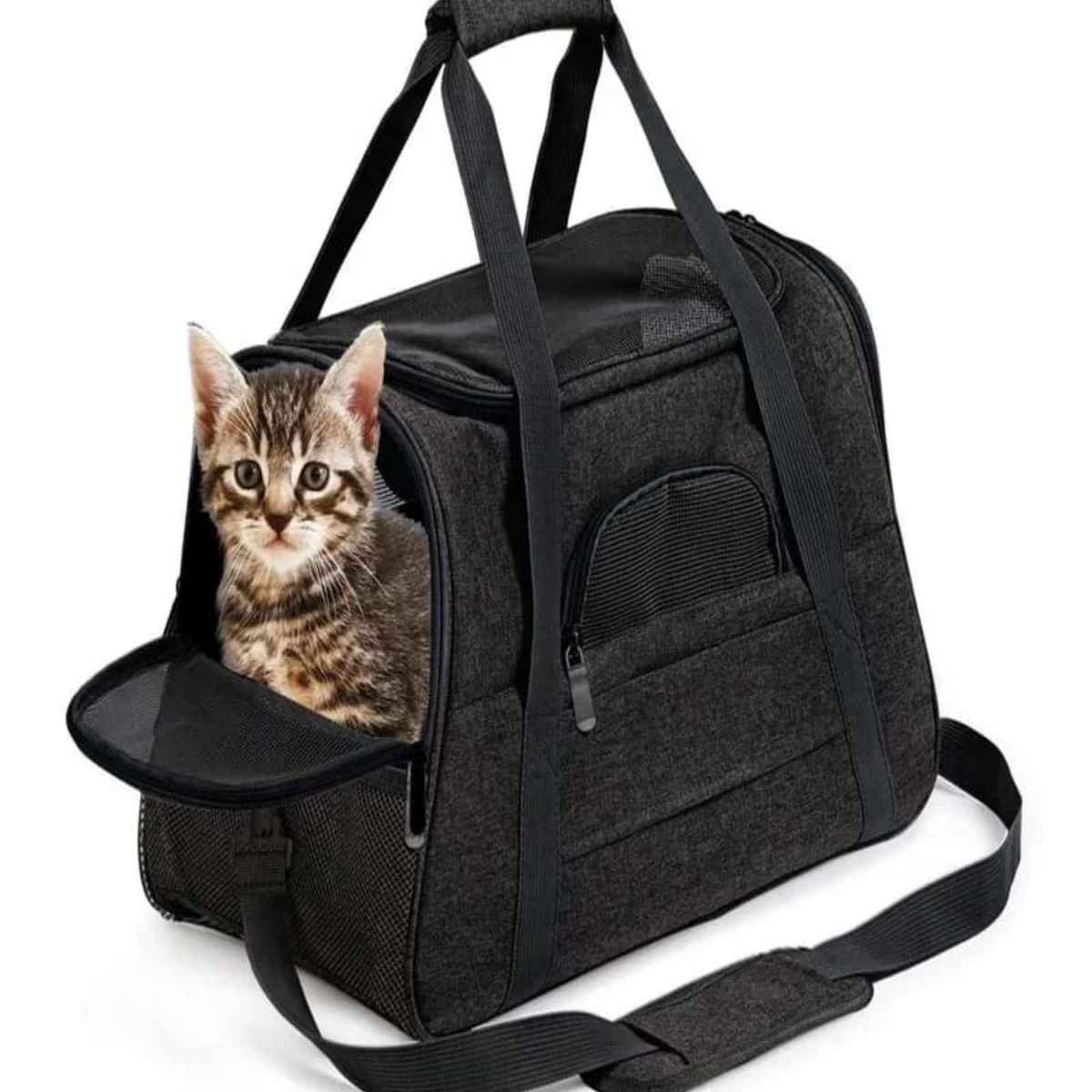 GENERICO - Bolso para Mascota transportador de Perro y Gato Negro