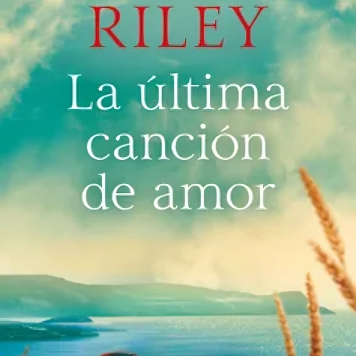 TOP10BOOKS - LIBRO La Última Canción De Amor - La Última Canción De Amor