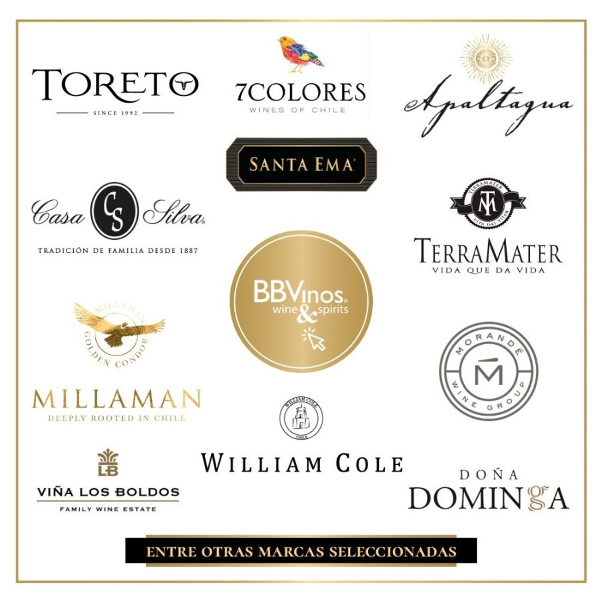 BBVINOS - 6 Vinos Mix Plus Reserva Carmenere