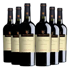 LUIS FELIPE EDWARDS - 6 Vinos Gran Reserva Carmenere