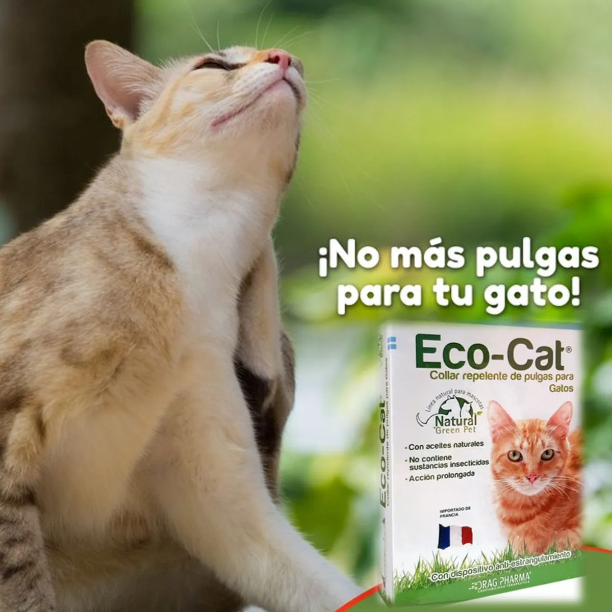 DRAG PHARMA - Eco Cat Collar Repelente De Pulgas Para Gatos