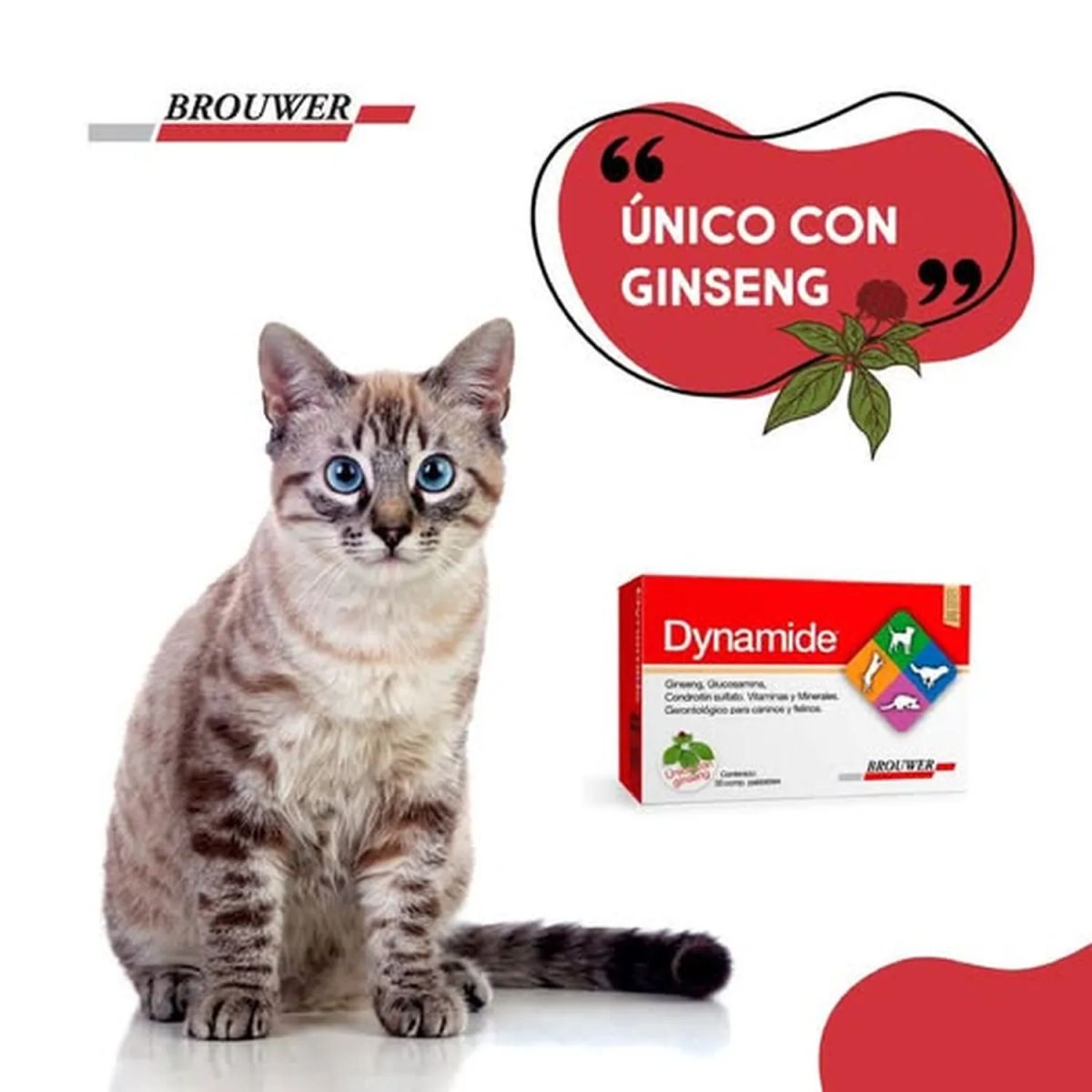 GENERICO - Dynamide 30 Comprimidos Palatables Para Perros Y Gatos