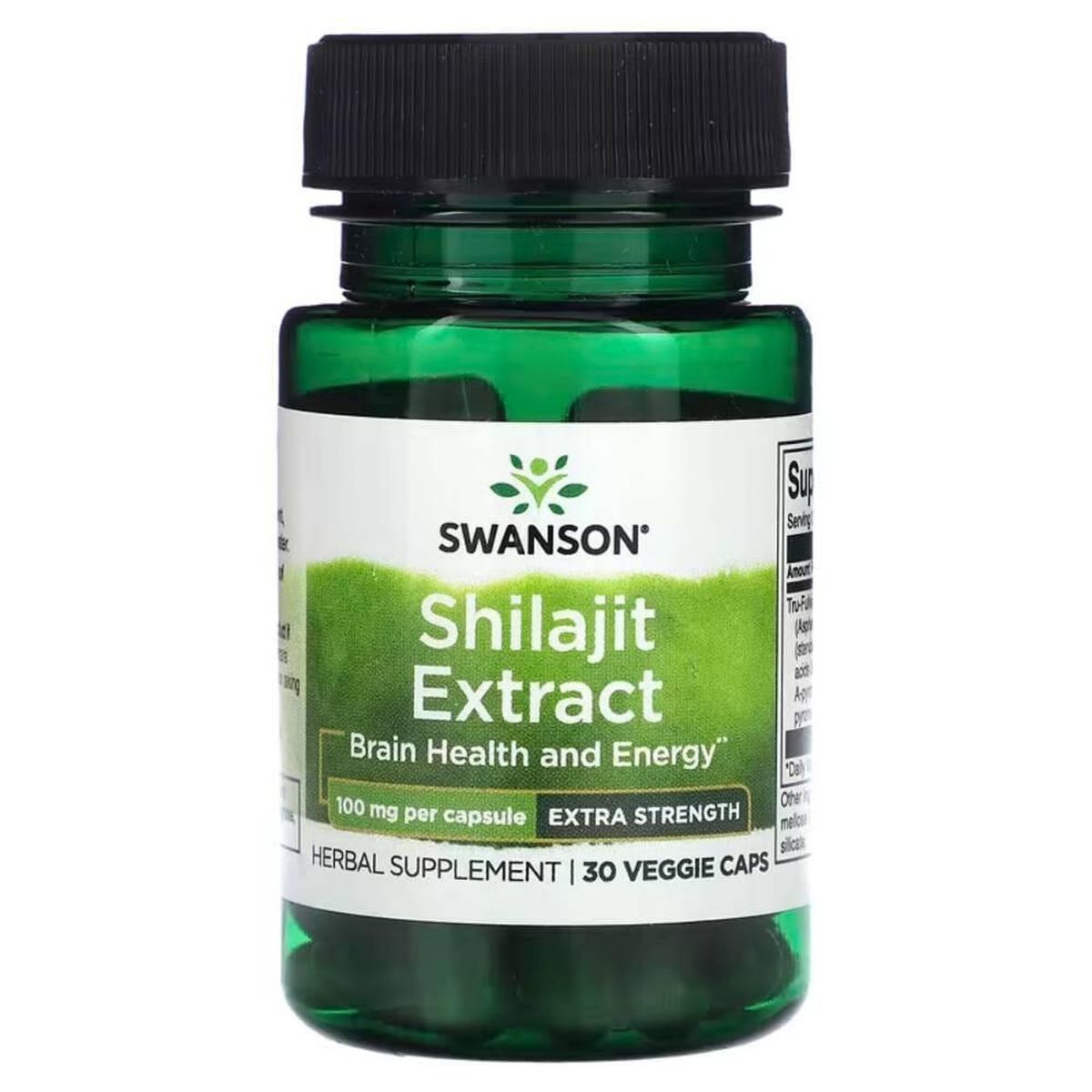 SWANSON - Shilajit Extract 100 mg - Swanson