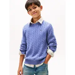 TOMMY HILFIGER - Sweater De Niño De Punto Trenzado Azul