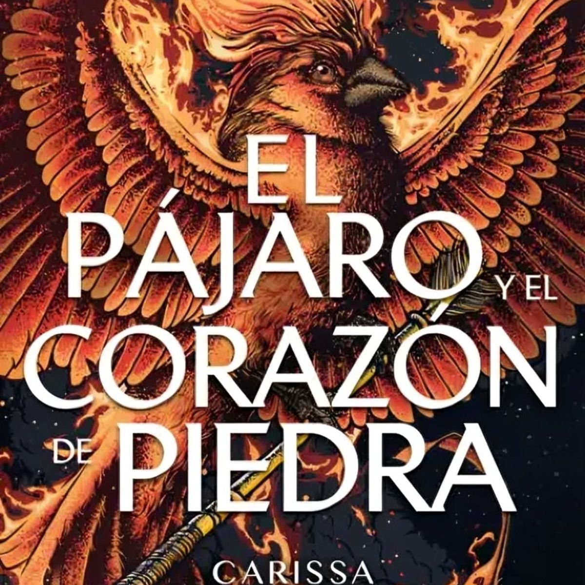 TOP10BOOKS - LIBRO El Pájaro Y El Corazón De Piedra - El Pájaro Y El Corazón De Piedra